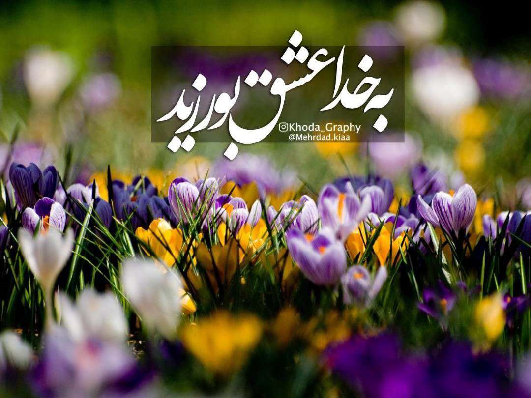 به خدا عشق بورزید